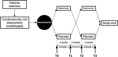 Cannabinoid Effect and Safety in Spasticity Following Stroke: A Double-Blind Randomized Placebo-Controlled Study